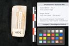 Foto (Objekt + Etikett) von Alnus cyoladum Unger (NHMW-GEO-2024-0188-8097)